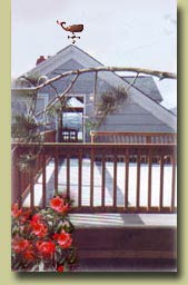 Your large private deck is perfect for eagle viewing, watching the ships come in to Ketchikan's busy port,  relaxing as the sun sets over Tongass Narrows, or  experiencing the beauty of the sunrise over Deer Mountain.